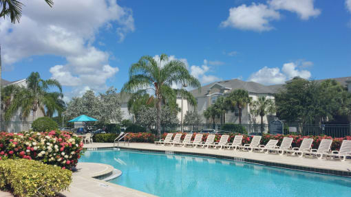 a swimming pool with chaise lounge chairs and palm trees