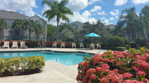a resort style pool with lounge chairs and umbrellas