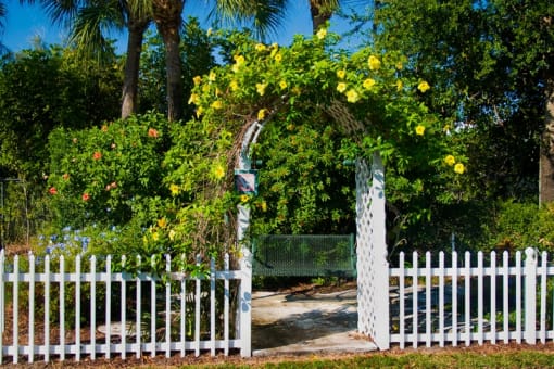 a white picket fence surrounds a garden with yellow flowers