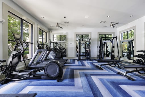 a gym with treadmills and other exercise equipment on a blue and white rug