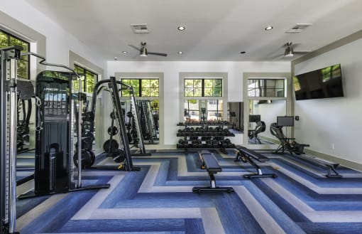 a large fitness room with cardio equipment and windows