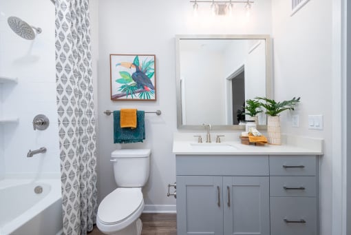 a bathroom with a shower and a toilet and a sink