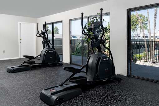 Two elliptical trainers in a room with a view of the outside.