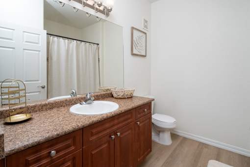 A bathroom with a sink, toilet, and a mirror.