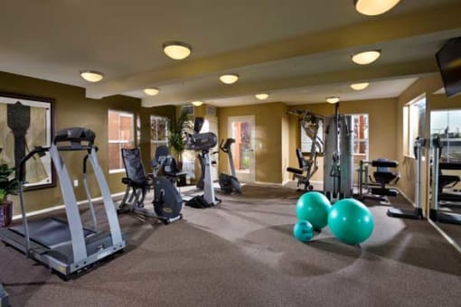 a gym with cardio equipment and weights on the floor