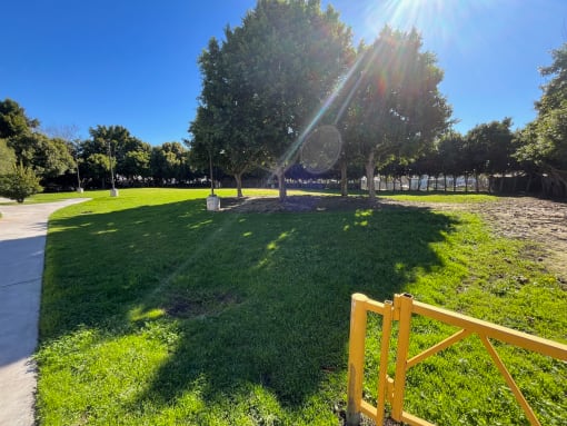 a sunny day at a park with trees and a fence