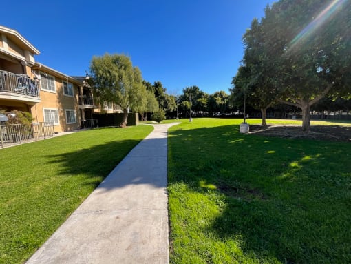 our apartments are located on a grassy area with trees and a sidewalk