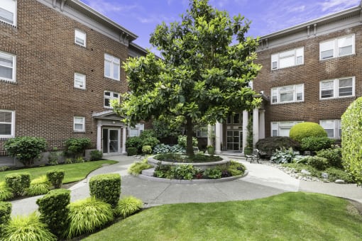 An Established Tree in the Middle of a the Resident Courtyard with Shrub Lined Walkway at Carolina Court, Washington