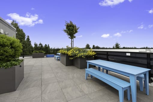 an outdoor seating area on the rooftop lounge with a blue bench and planters with yellow flowers at Arabella Apartment Homes, Washington