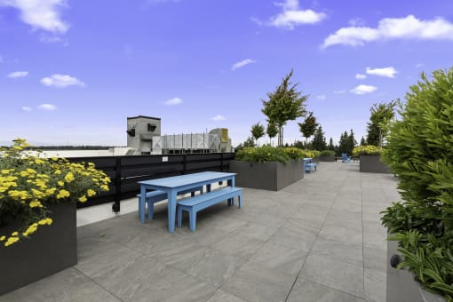 Landscaped Resident seating area with a blue bench and yellow flowers at Arabella Apartment Homes, Shoreline, 98155