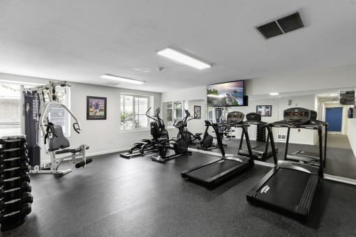 a gym with cardio equipment and a flat screen tv at Willows Court Apartment Homes, Washington, 98125