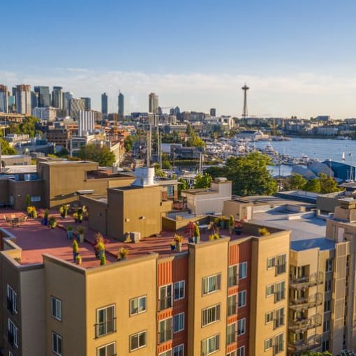 View from the Resident Rooftop Deck of a Puget Sound and the city of Seattle in the background at Illumina Apartment Homes, Washington, 98102