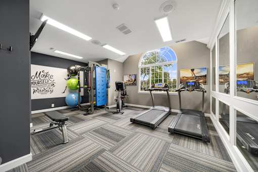 A gym with treadmills, exercise balls, and a wall mural.