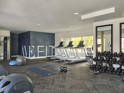 A gym with a variety of equipment including treadmills, weights, and exercise balls.