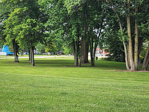 A park with a grassy area and trees.