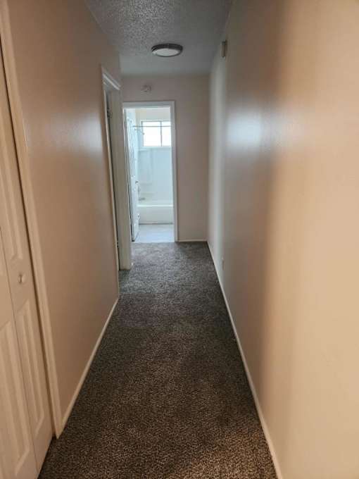 A hallway with carpeted flooring and white walls.