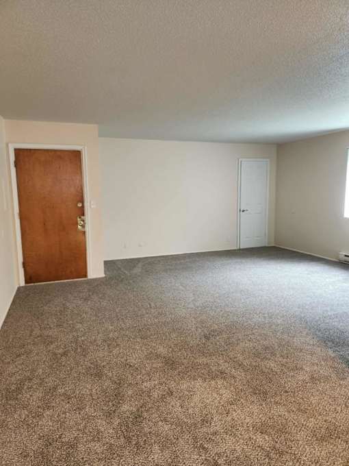 A room with a brown door and carpeted floor.