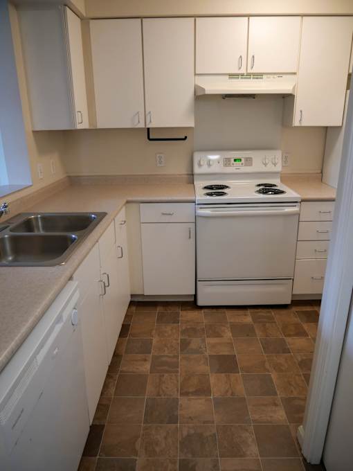 A kitchen with a stove, sink, and cabinets.