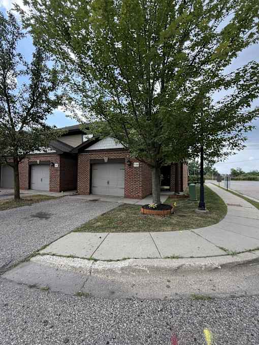 A tree in front of a brick house with a white garage door.