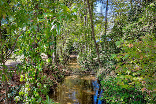 Garden Area at Forest Hills Racquet Club, Augusta, Georgia