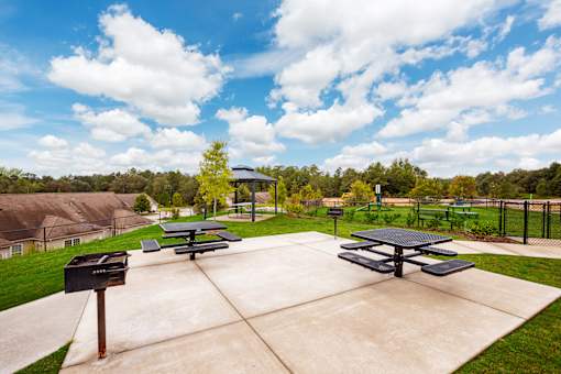 Grilling Area at The Vista Apartments & Townhomes, Warrenville, SC, 29851