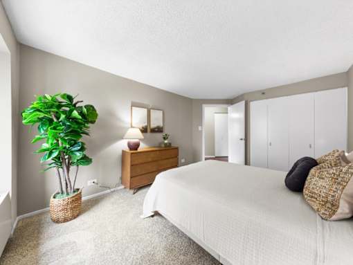 A bedroom with a bed, dresser, and a potted plant.