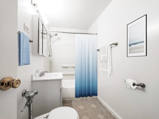a bathroom with a white toilet and a blue shower curtain