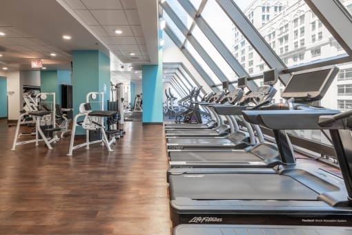 a row of treadmills and elliptical trainers in a gym