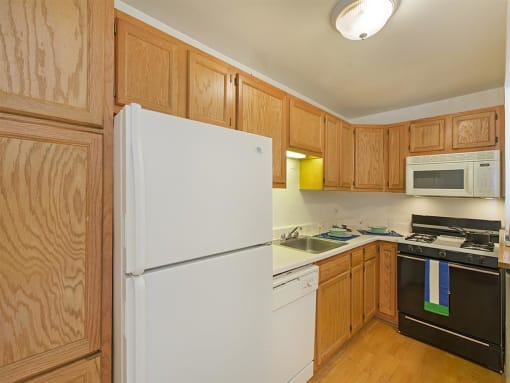 Buena Shores Kitchen