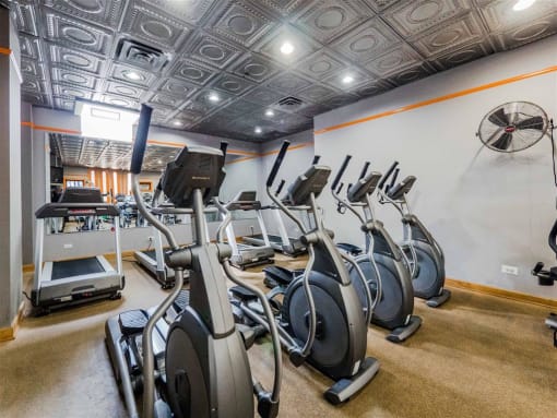 The Patricians Apartments Lincoln Park Chicago Fitness Center Gym