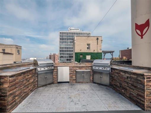 The Patricians Apartments Lincoln Park Chicago Roof Deck Grills