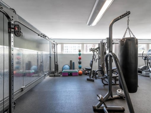 The Van der Rohe Fitness Center