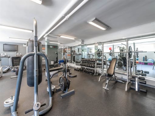 The Van der Rohe Fitness Center