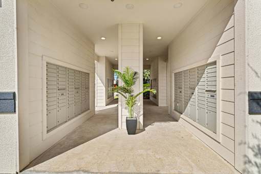 a hallway with lockers and a potted plant in the middle
