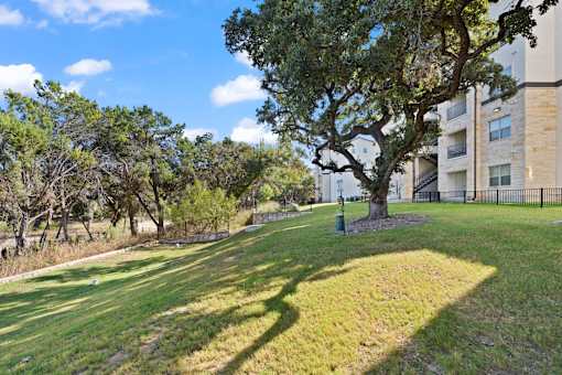 the preserve at ballantyne commons apartment community yard and tree