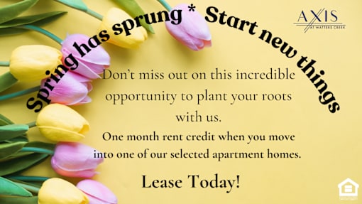 A promotional image for Axis at Water Creek offering a one month rent credit for leasing their apartments.