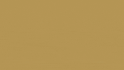 A solid brown background with no distinguishable features.