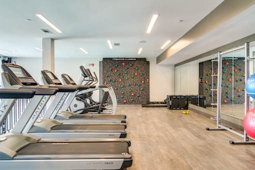 A gym with treadmills and a climbing wall.