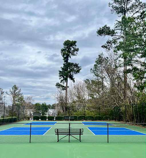 A tennis court surrounded by trees and a fence.