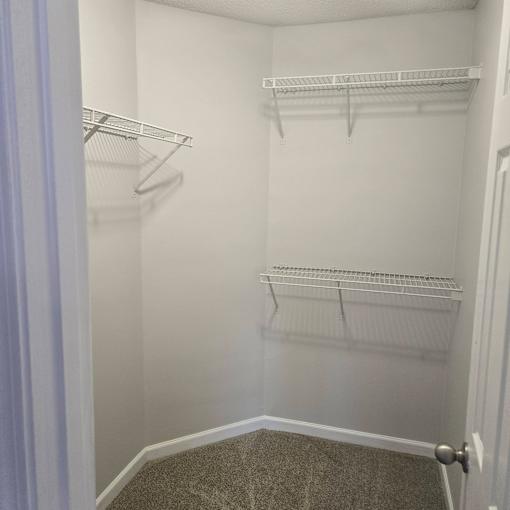 A white closet with a carpeted floor and a white door.