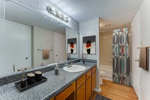 A bathroom with a granite countertop and a large mirror.