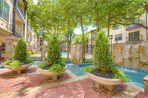 A pool surrounded by trees and plants.