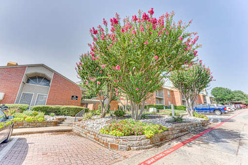A red flowering tree in front of a brick building at Copper Hill Apartments, Bedford