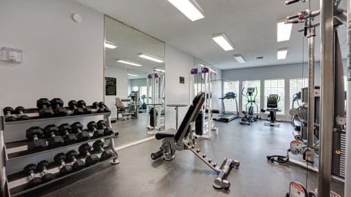 Free Weights at Hunters Hill, Dallas