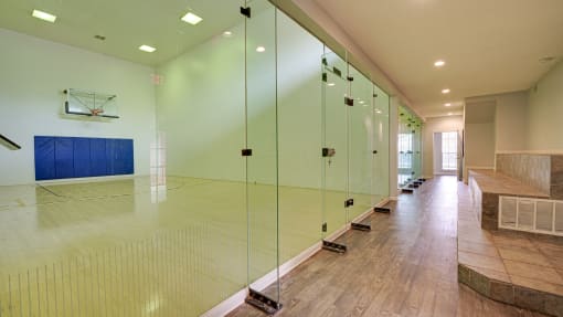 Basketball Court at Hunters Hill, Dallas, TX, 75287