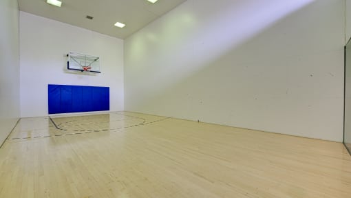 Racquet Court at Hunters Hill, Texas, 75287