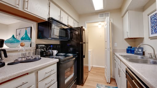 Spacious Kitchen With Pantry Cabinet at Indian Creek Apartments, Carrollton, Texas