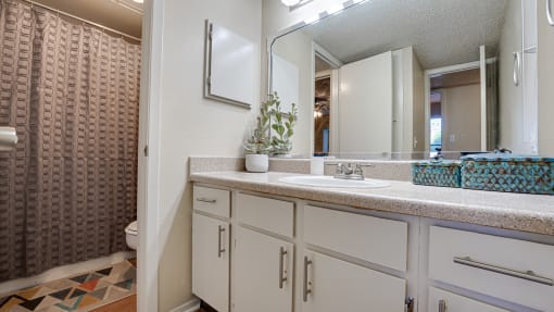 Luxurious Bathroom at Indian Creek Apartments, Carrollton, TX, 75007