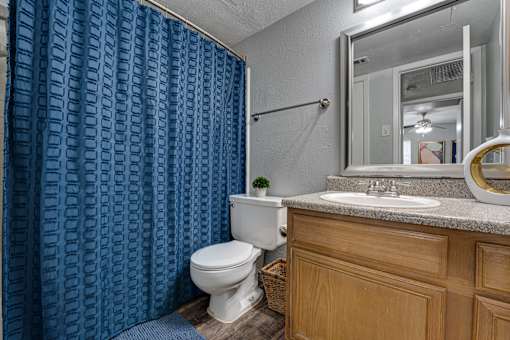 blue shower curtain in bathroom at Southern Oaks, Fort Worth Texas