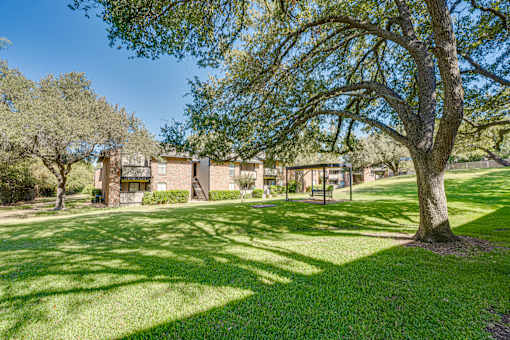tree stands in a grassy field at Southern Oaks, Fort Worth